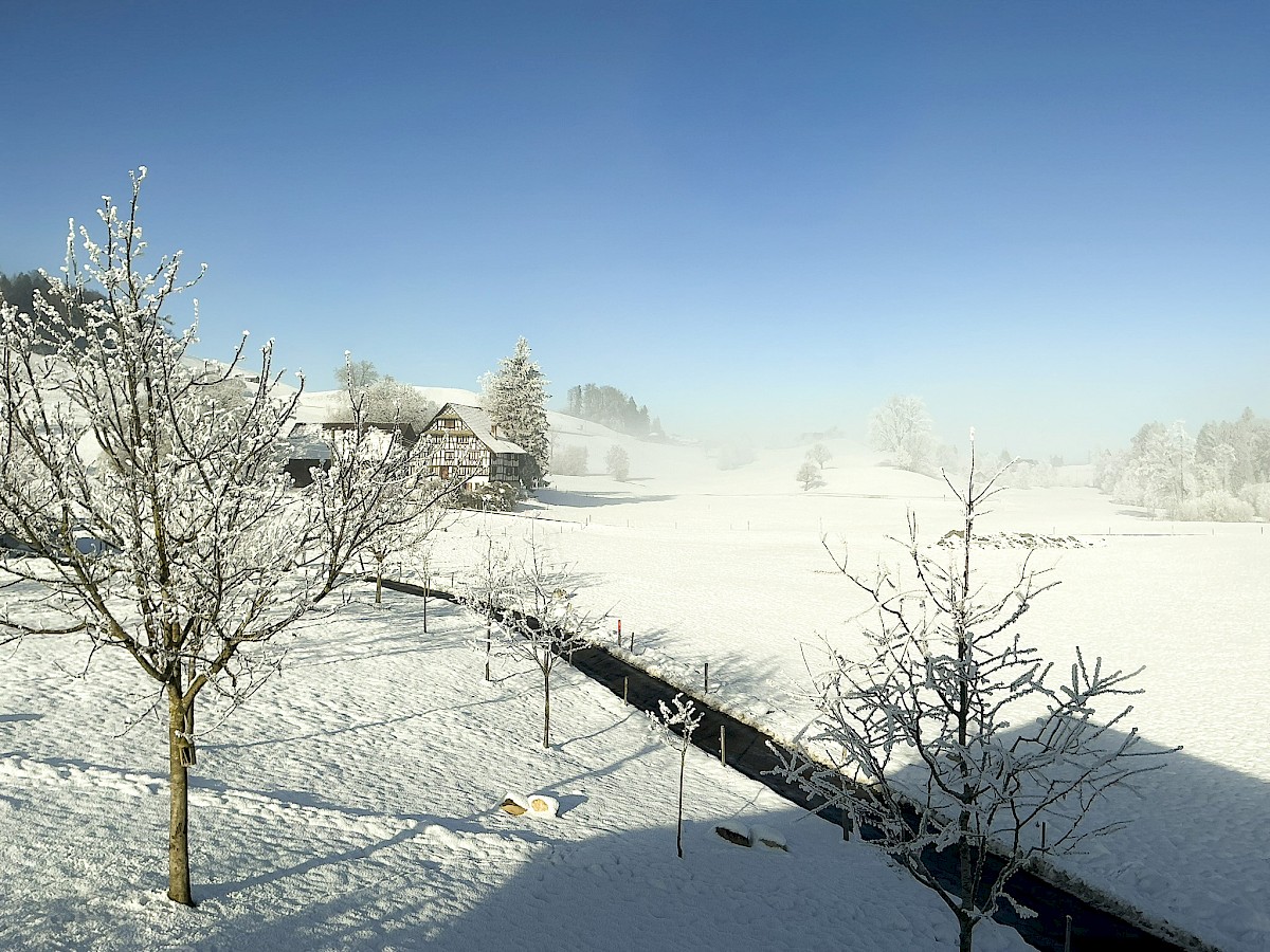 Blick ins Naturschutzgebiet im Winter