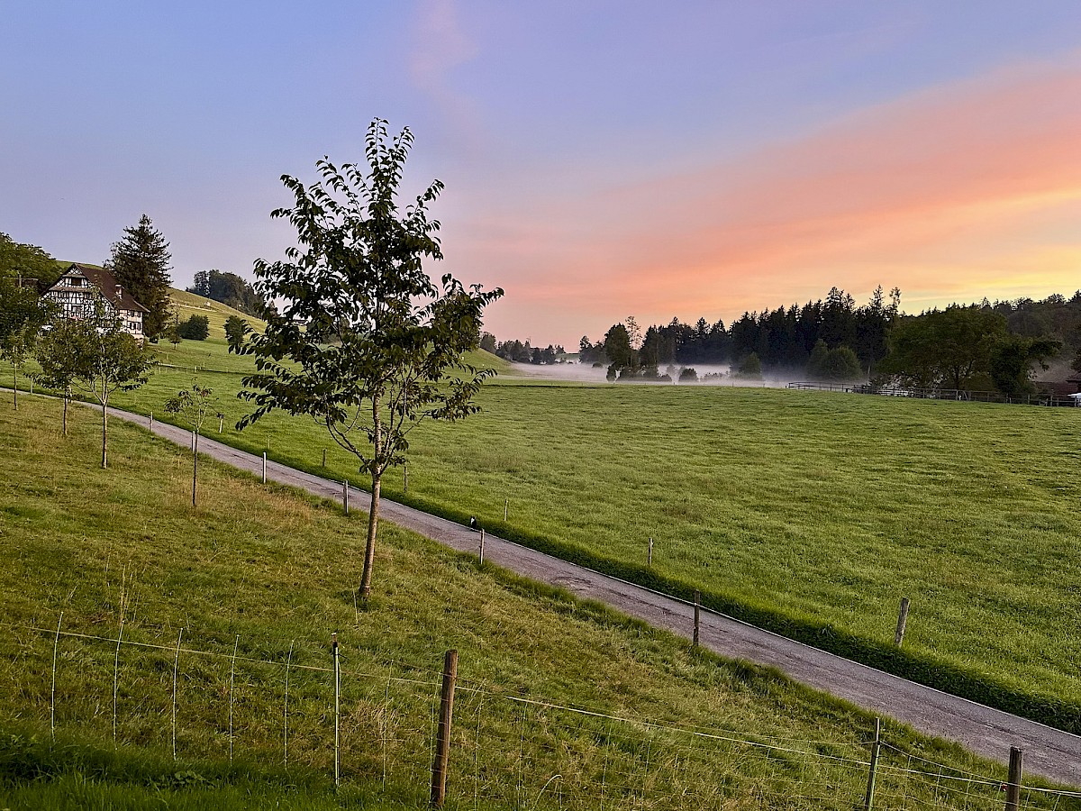 Blick ins Naturschutzgebiet im Herbst
