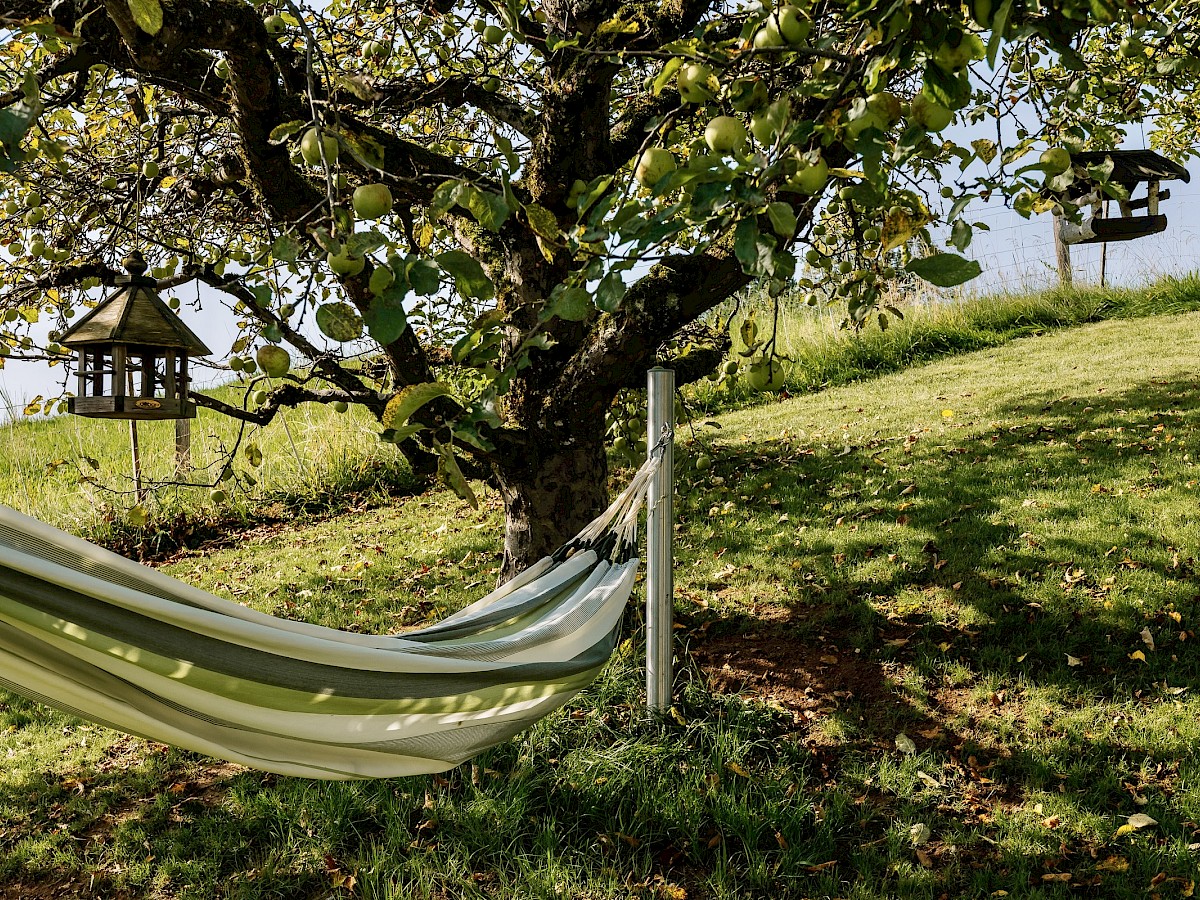 Fix installierte Hängematte unter dem Apfelbaum