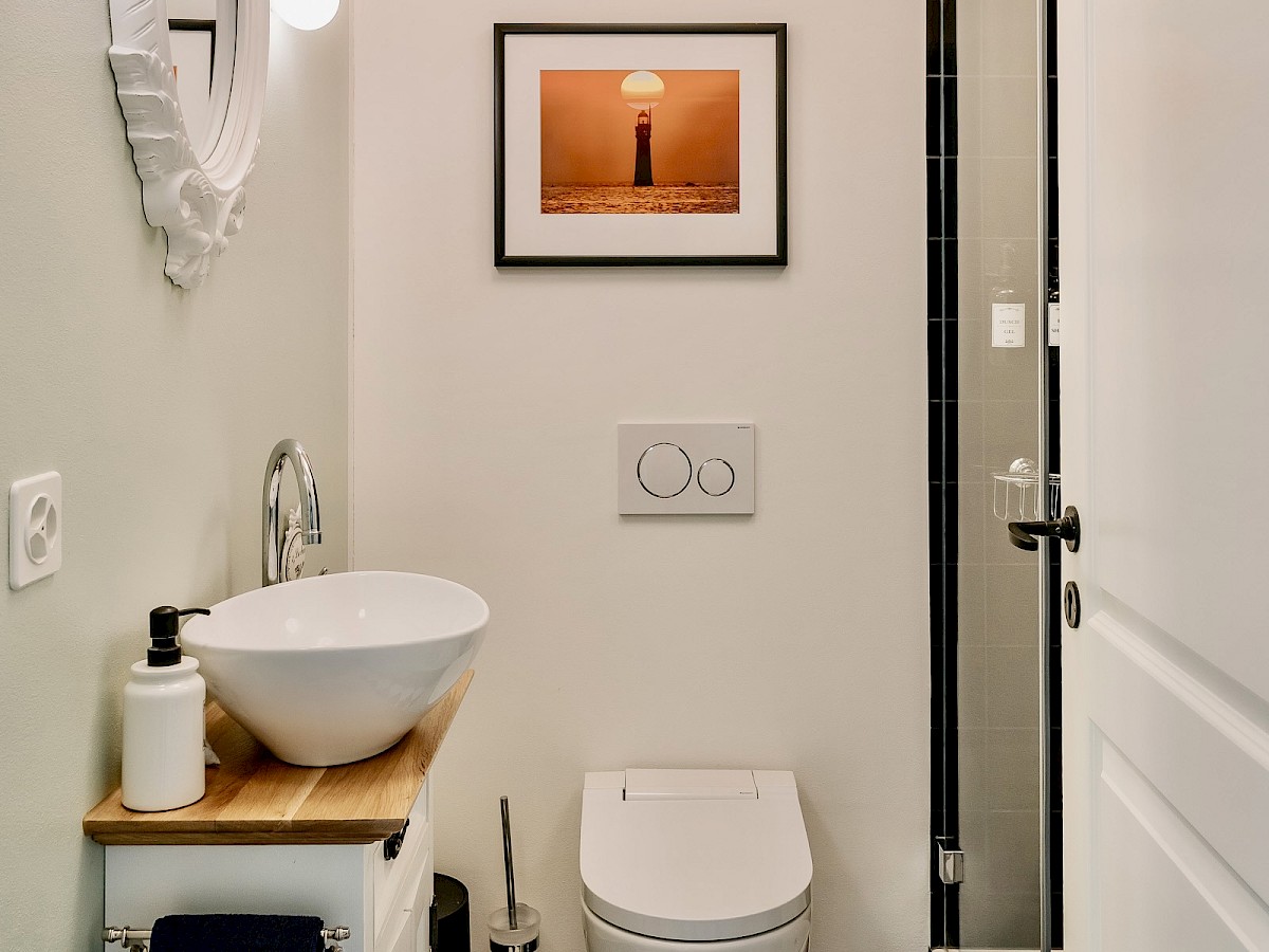 Gästebad mit Dusch-WC und Dusche