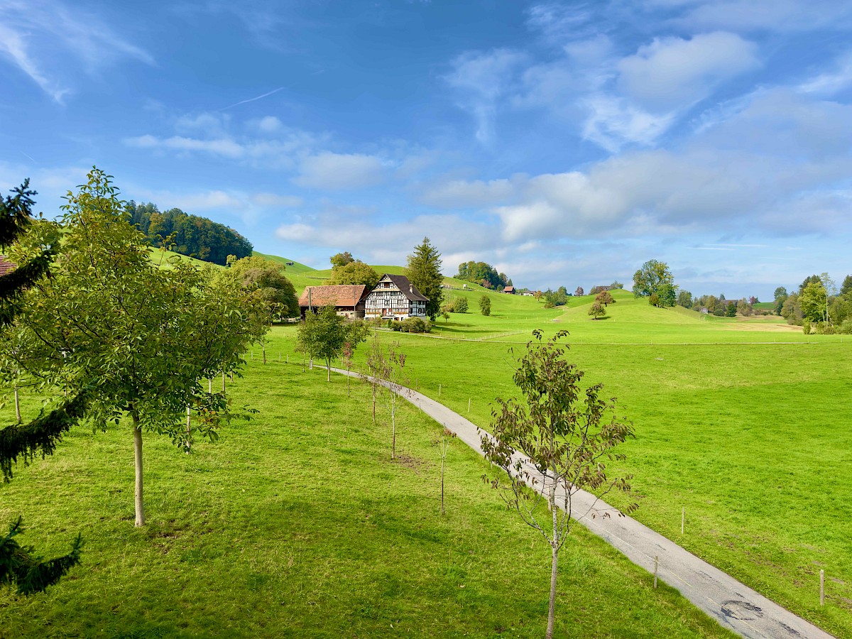 Blick ins Naturschutzgebiet im Sommer