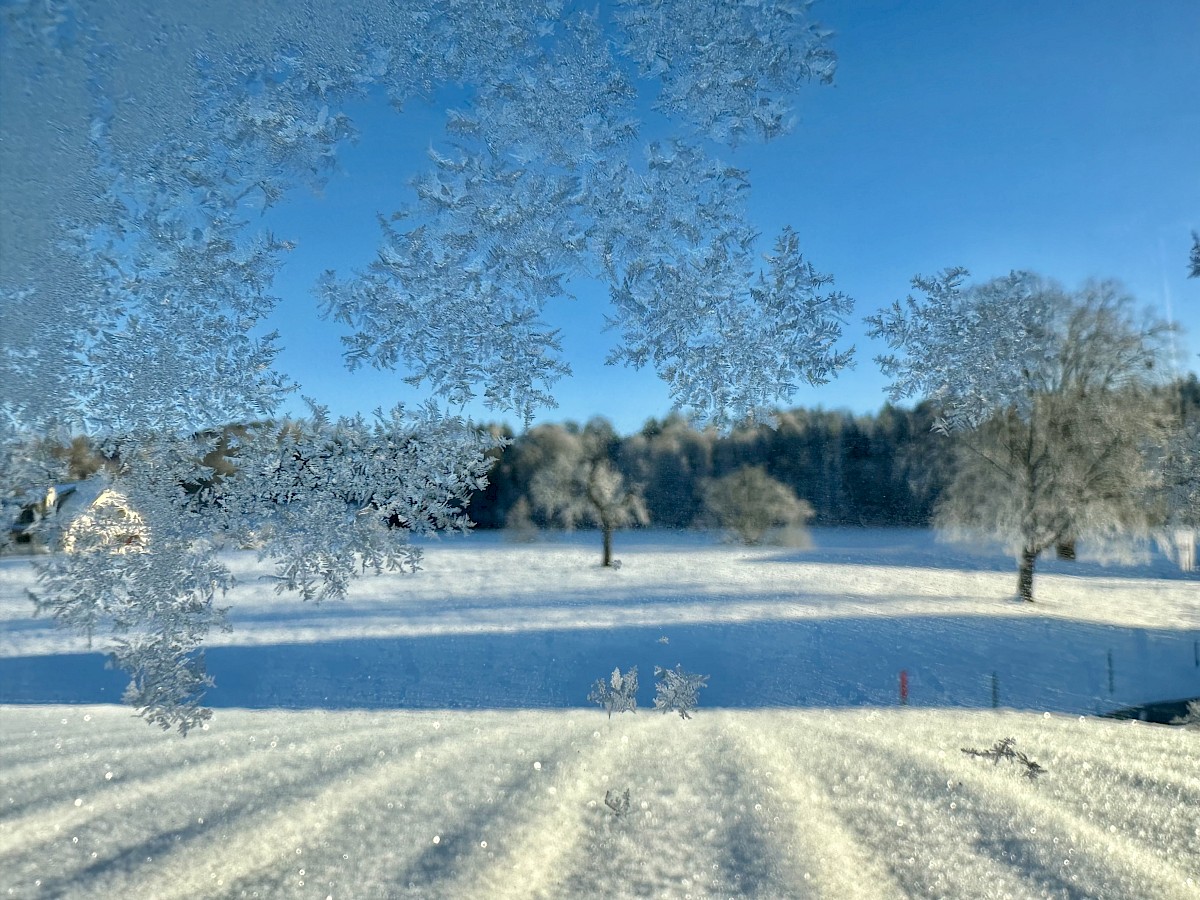 Blick aus dem Wohnzimmerfenster