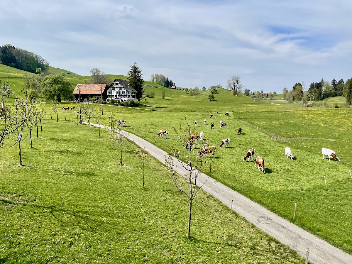 Blick ins Naturschutzgebiet im Frühling